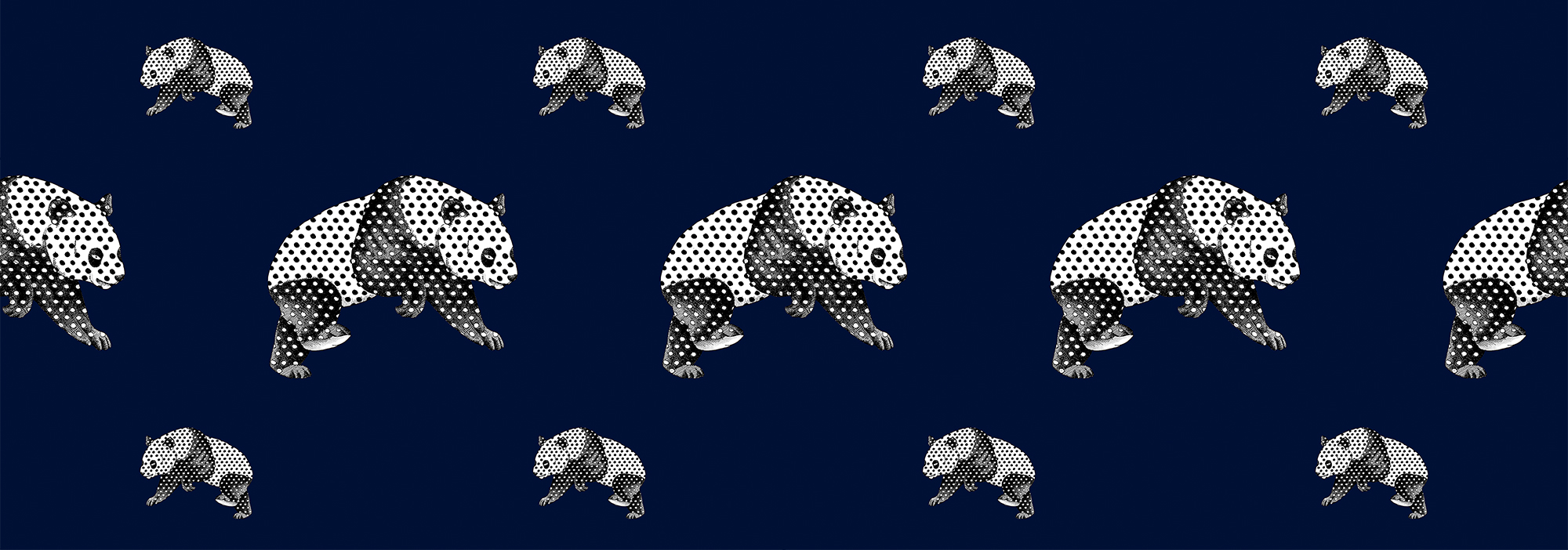LKWT007 サムネイル画像