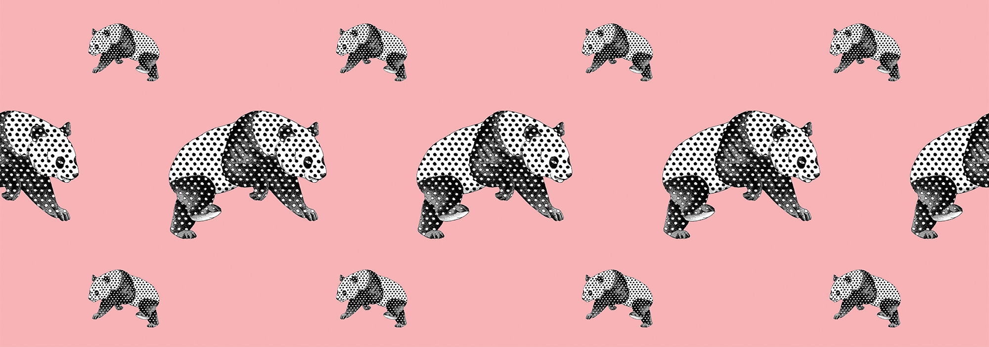 LKWT010 サムネイル画像