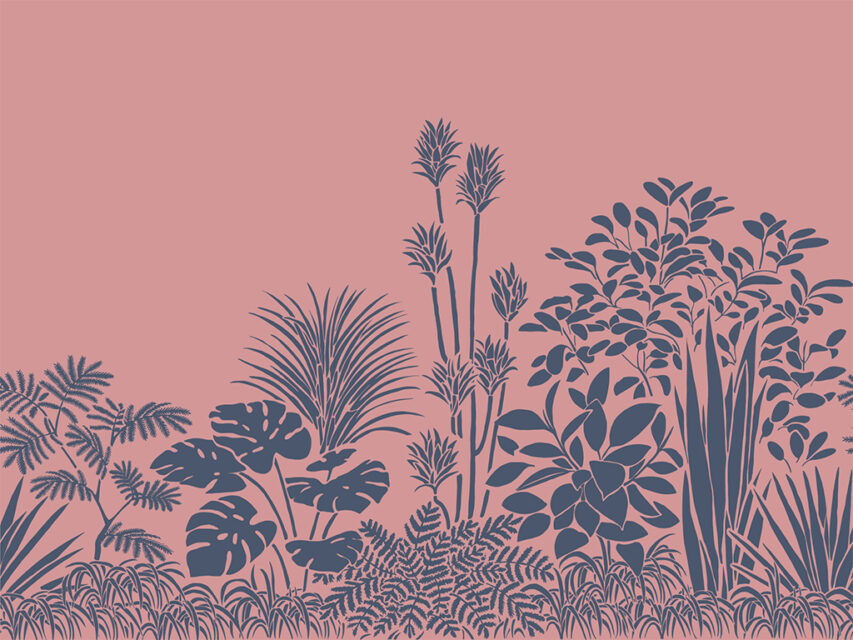 News 壁紙 クロス Who Wallpaper