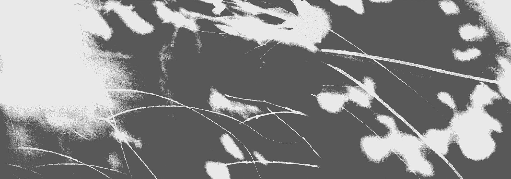 LKST063 サムネイル画像