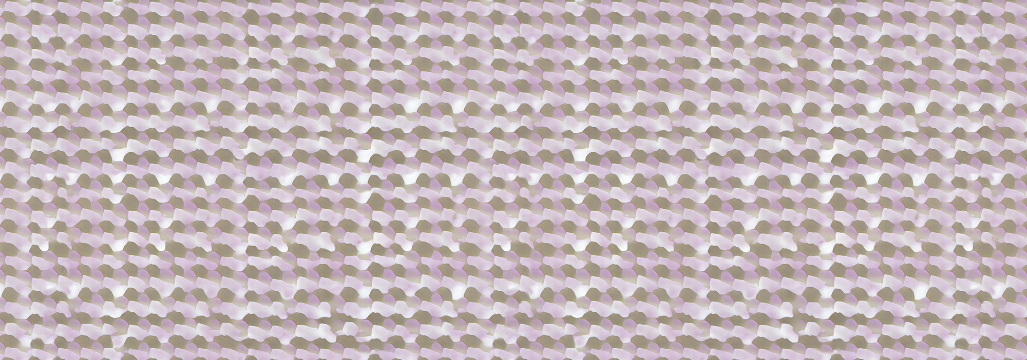 CBPD007A サムネイル画像