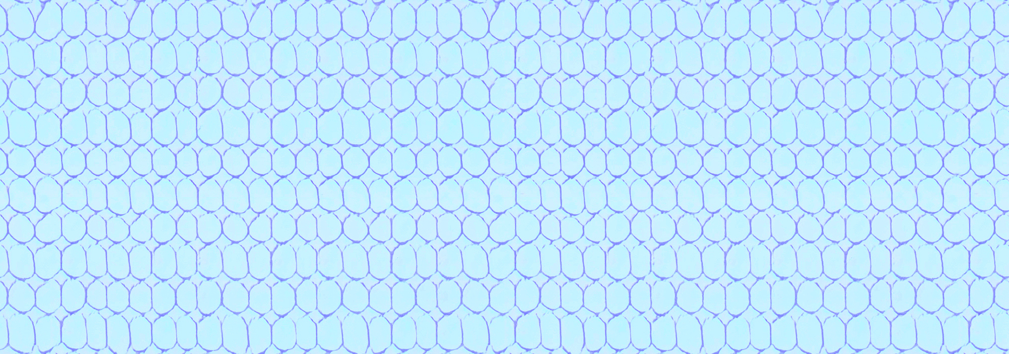 CBPD013D サムネイル画像