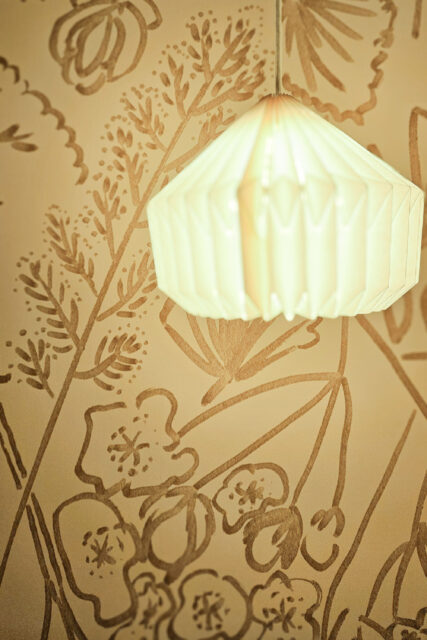 GUEST HOUSE Katsushika,Tokyo の画像 4