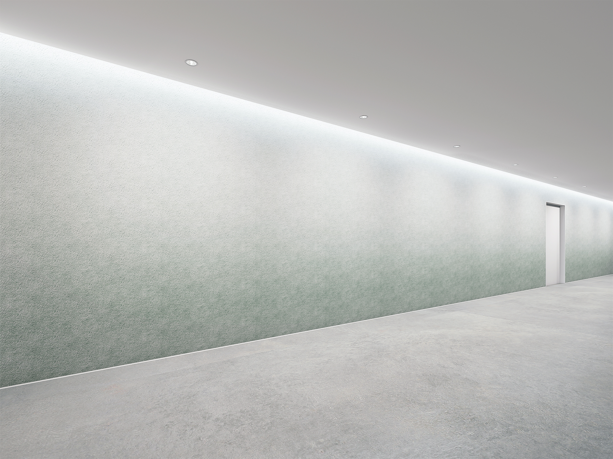 punch_gradation CRNS030 イメージ画像