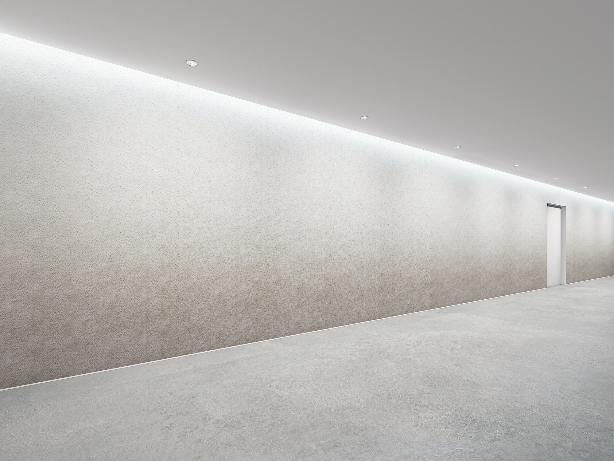 punch_gradation CRNS031 イメージ画像