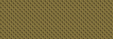 SPGT808 サムネイル画像