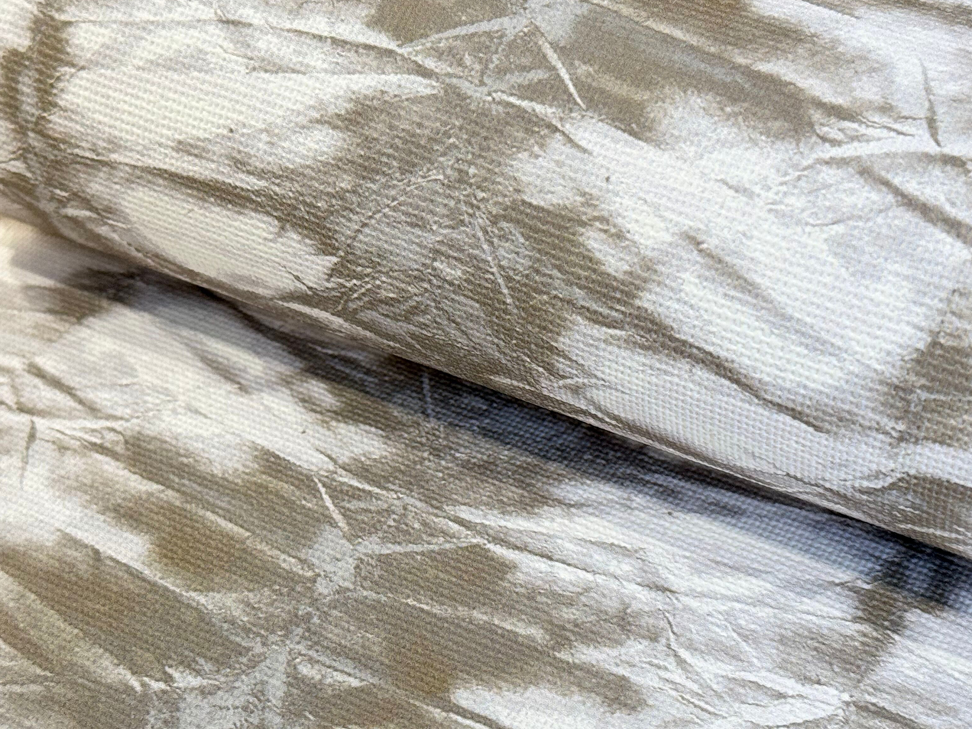 PLEATS_Dried Grasses MYRU913 イメージ画像