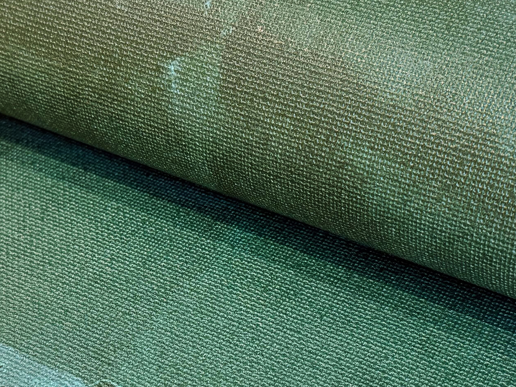 NIKARI_Deep Forest MYRU920 イメージ画像