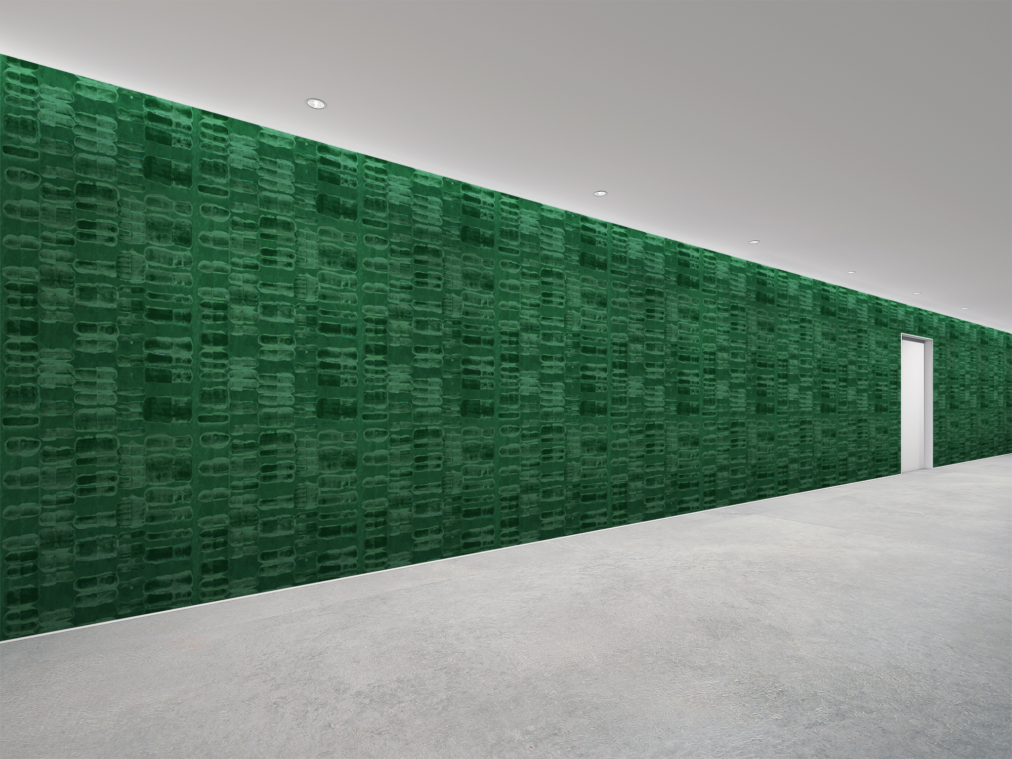 NIKARI_Deep Forest MYRU920 イメージ画像