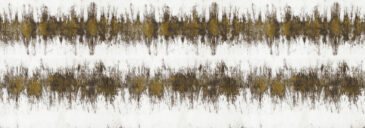 MYRU925 サムネイル画像