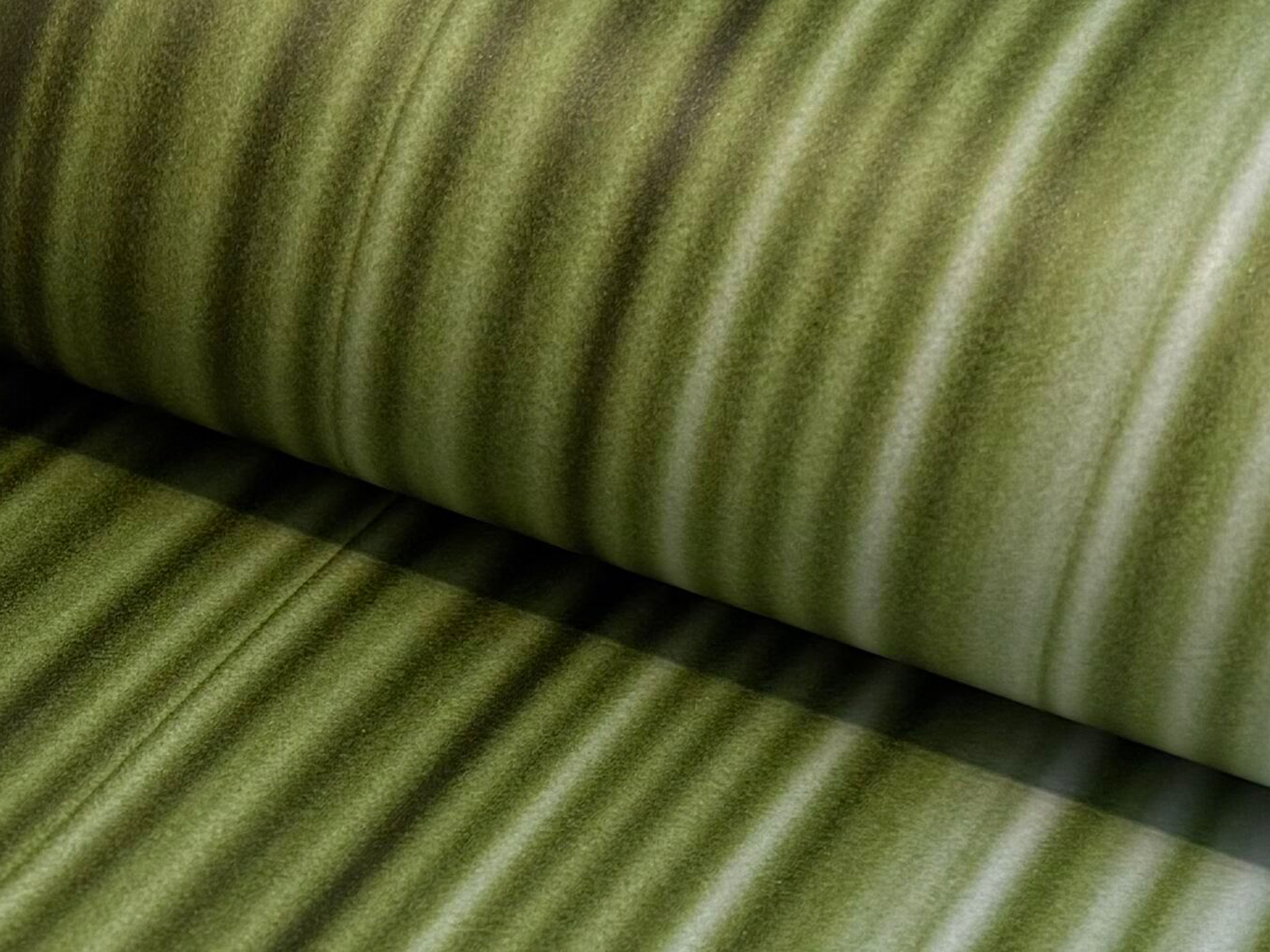 Brushing CRFU334 イメージ画像